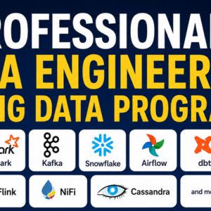 Professional Data Engineering and Big data Program